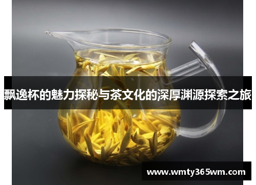 飘逸杯的魅力探秘与茶文化的深厚渊源探索之旅