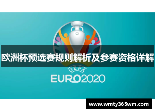 欧洲杯预选赛规则解析及参赛资格详解